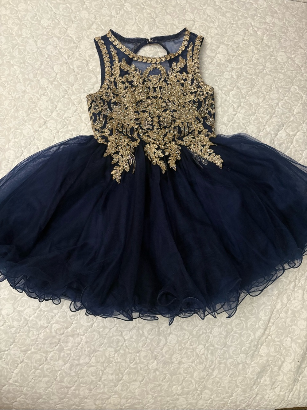 Rare Editions Navy Tulle Dress with Gold Embroidered Bodice